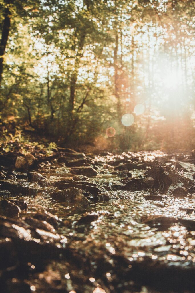 Ein Bach in einem Wald, bescheint von der Sonne, wie ein ewiger Strom aus Licht und LIebe